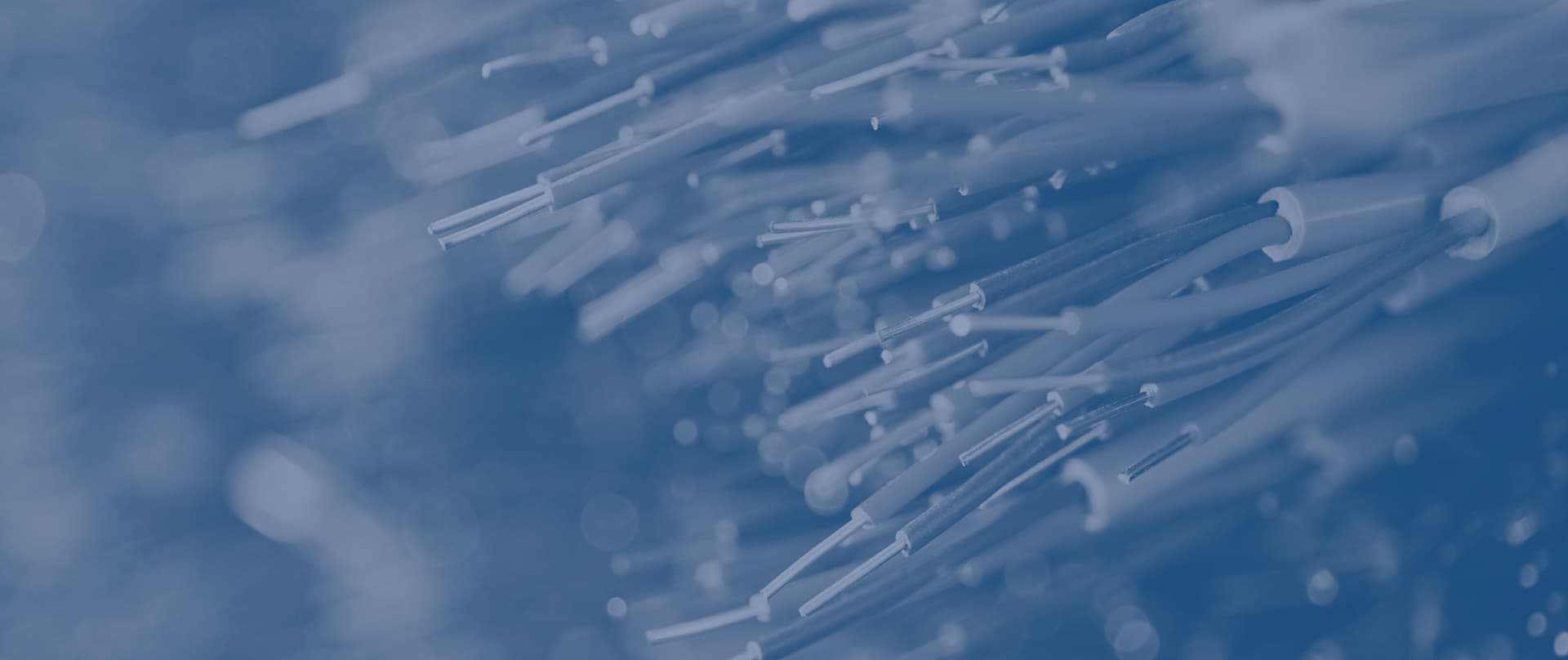 DEKO Elektrik Company Dynamics